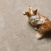 Load image into Gallery viewer, Hoburg limestone honed