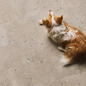 Hoburg limestone honed